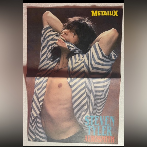 Metallix Steven Tyler Aerosmith Pinup - Picture 1 of 1